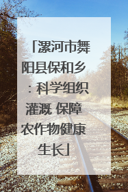 漯河市舞阳县保和乡：科学组织灌溉 保障农作物健康生长