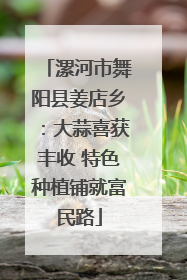 漯河市舞阳县姜店乡：大蒜喜获丰收 特色种植铺就富民路