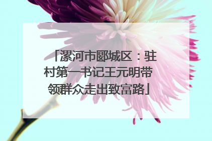 漯河市郾城区：驻村第一书记王元明带领群众走出致富路