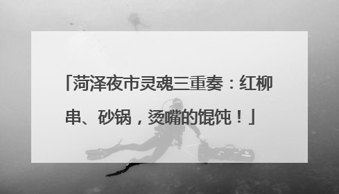 菏泽夜市灵魂三重奏：红柳串、砂锅，烫嘴的馄饨！