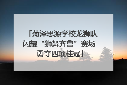 菏泽思源学校龙狮队闪耀“狮舞齐鲁”赛场 勇夺四项桂冠