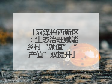 菏泽鲁西新区：生态治理赋能乡村“颜值”“产值”双提升