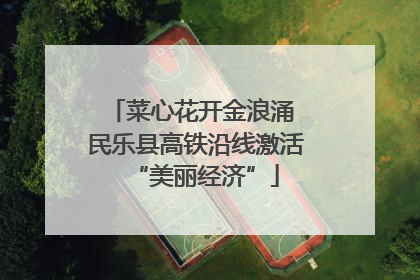 菜心花开金浪涌 民乐县高铁沿线激活“美丽经济”