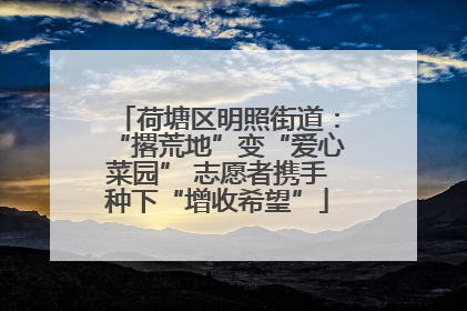 荷塘区明照街道：“撂荒地”变“爱心菜园” 志愿者携手种下“增收希望”