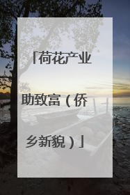 荷花产业助致富（侨乡新貌）