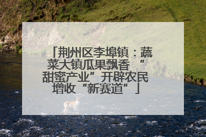 荆州区李埠镇：蔬菜大镇瓜果飘香 “甜蜜产业”开辟农民增收“新赛道”