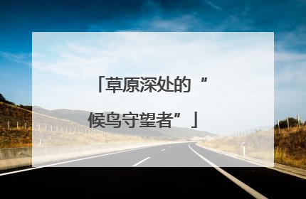 草原深处的“候鸟守望者”