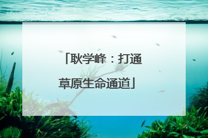 耿学峰：打通草原生命通道
