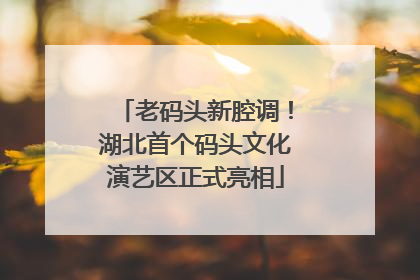 老码头新腔调！湖北首个码头文化演艺区正式亮相