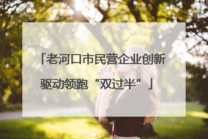 老河口市民营企业创新驱动领跑“双过半”