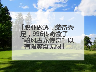 职业做透，装备秀足，996传奇盒子“骏风古龙传奇”以有限爽爆无限