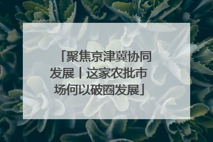 聚焦京津冀协同发展丨这家农批市场何以破圈发展