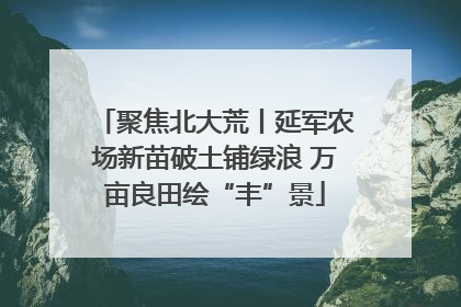 聚焦北大荒丨延军农场新苗破土铺绿浪 万亩良田绘“丰”景