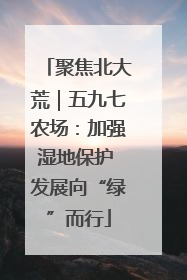 聚焦北大荒｜五九七农场：加强湿地保护 发展向“绿”而行