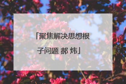 聚焦解决思想根子问题 郝 炜