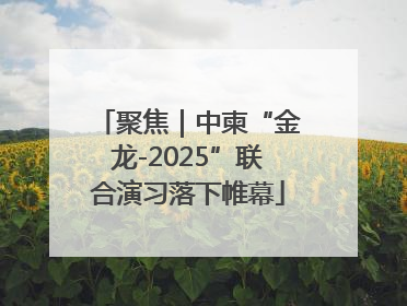 聚焦｜中柬“金龙-2025”联合演习落下帷幕