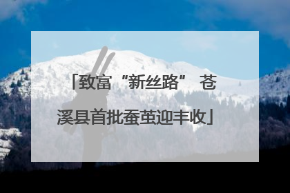 致富“新丝路” 苍溪县首批蚕茧迎丰收