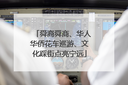 舜裔舜商、华人华侨花车巡游、文化踩街点亮宁远