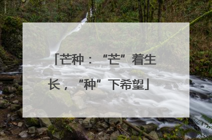 芒种：“芒”着生长，“种”下希望