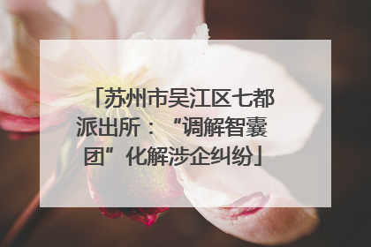 苏州市吴江区七都派出所：“调解智囊团”化解涉企纠纷