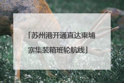 苏州港开通直达柬埔寨集装箱班轮航线