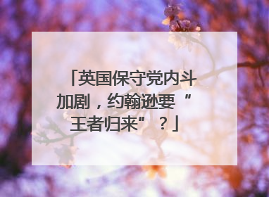 英国保守党内斗加剧，约翰逊要“王者归来”？