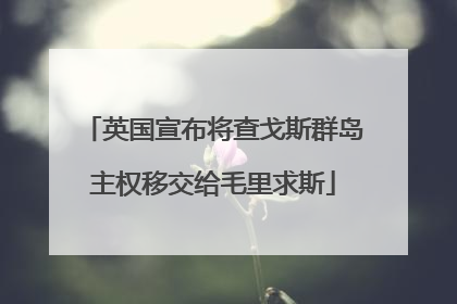 英国宣布将查戈斯群岛主权移交给毛里求斯