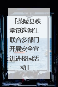 茶陵县秩堂镇选调生联合多部门开展安全宣讲进校园活动