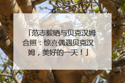 范志毅晒与贝克汉姆合照：惊喜偶遇贝克汉姆，美好的一天！