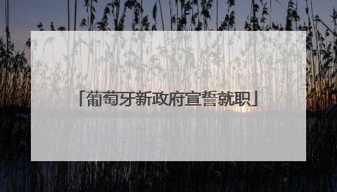 葡萄牙新政府宣誓就职