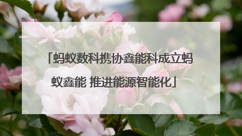 蚂蚁数科携协鑫能科成立蚂蚁鑫能 推进能源智能化
