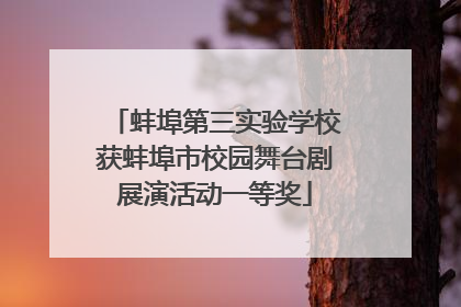 蚌埠第三实验学校获蚌埠市校园舞台剧展演活动一等奖