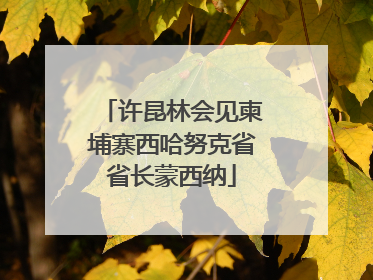 许昆林会见柬埔寨西哈努克省省长蒙西纳