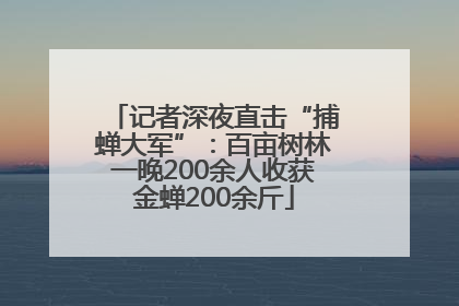 记者深夜直击“捕蝉大军”：百亩树林一晚200余人收获金蝉200余斤