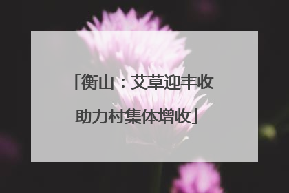 衡山：艾草迎丰收 助力村集体增收