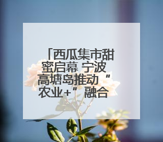 西瓜集市甜蜜启幕 宁波高塘岛推动“农业+”融合发展