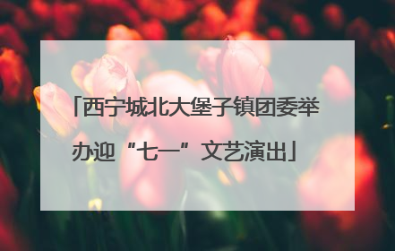 西宁城北大堡子镇团委举办迎“七一”文艺演出