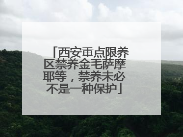 西安重点限养区禁养金毛萨摩耶等，禁养未必不是一种保护