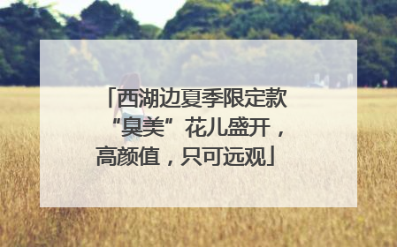 西湖边夏季限定款“臭美”花儿盛开，高颜值，只可远观