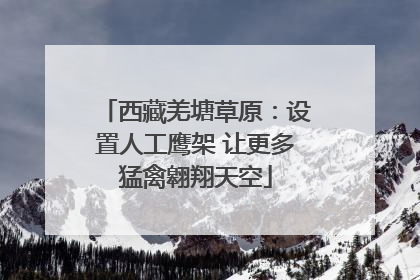 西藏羌塘草原：设置人工鹰架 让更多猛禽翱翔天空