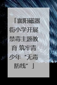 襄阳磁器街小学开展禁毒主题教育 筑牢青少年“无毒防线”