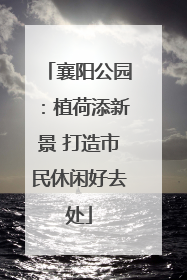 襄阳公园：植荷添新景 打造市民休闲好去处