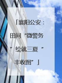 襄阳公安：田间“微警务”绘就三夏“丰收图”