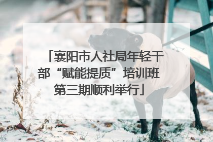 襄阳市人社局年轻干部“赋能提质”培训班第三期顺利举行