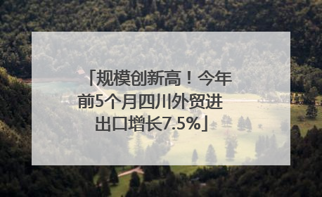 规模创新高！今年前5个月四川外贸进出口增长7.5%