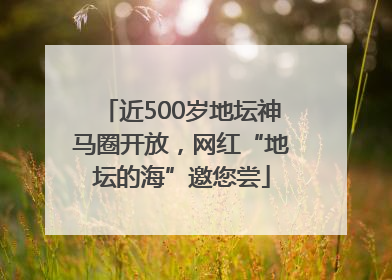 近500岁地坛神马圈开放，网红“地坛的海”邀您尝