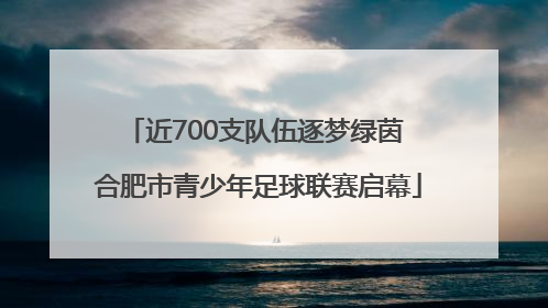 近700支队伍逐梦绿茵 合肥市青少年足球联赛启幕