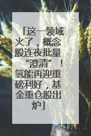 这一领域火了，概念股连夜批量“澄清”！氢能再迎重磅利好，基金重仓股出炉