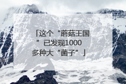 这个“蘑菇王国”已发现1000多种大“菌子”