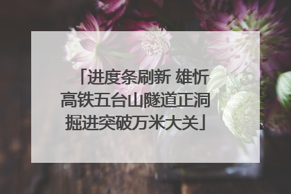 进度条刷新 雄忻高铁五台山隧道正洞掘进突破万米大关